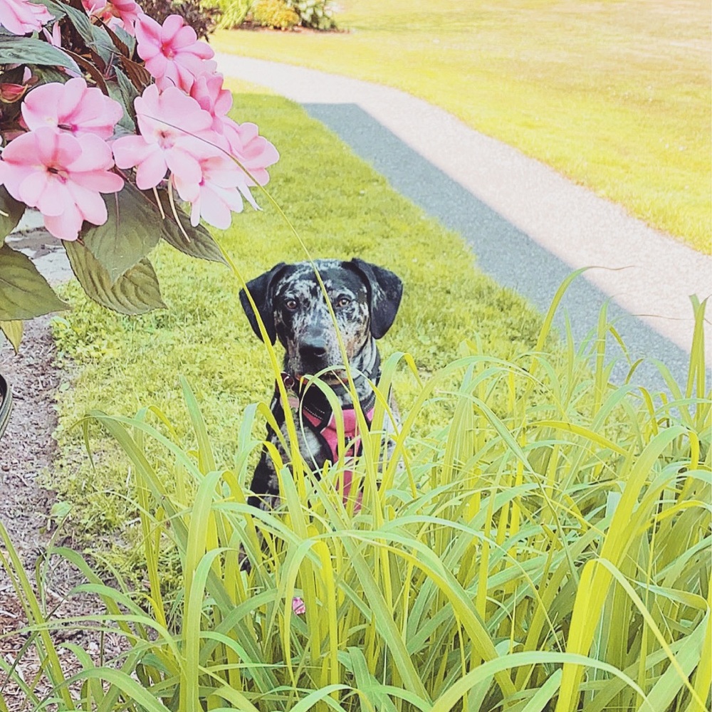 Meet your Posher, Kait